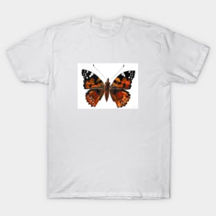 Painted Lady T-Shirt